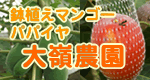 大嶺農園