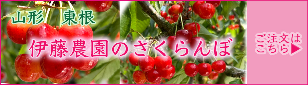 伊藤農園のさくらんぼ