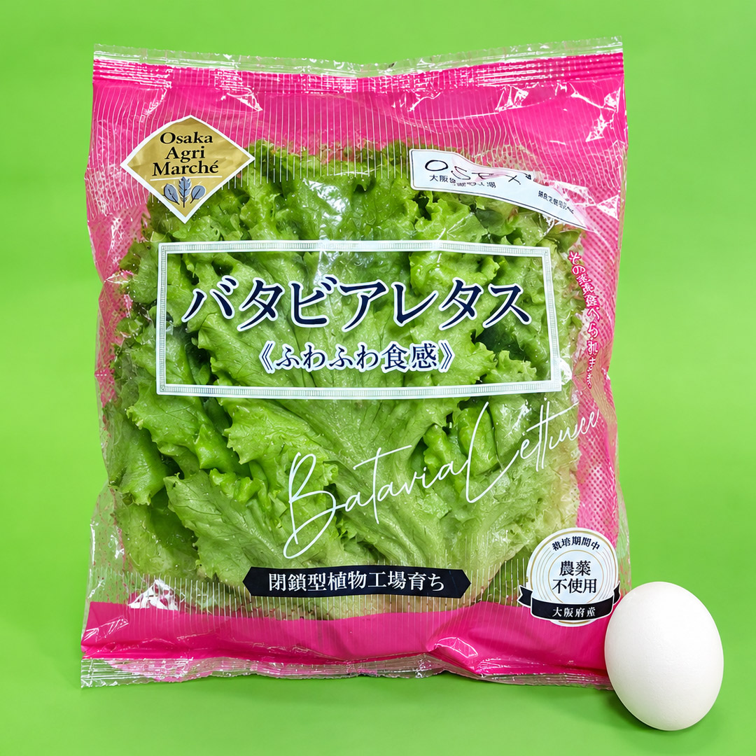 大阪公立大学植物工場 バタビアレタス(約70g)6個 フリルレタス(約70g)6個 セット