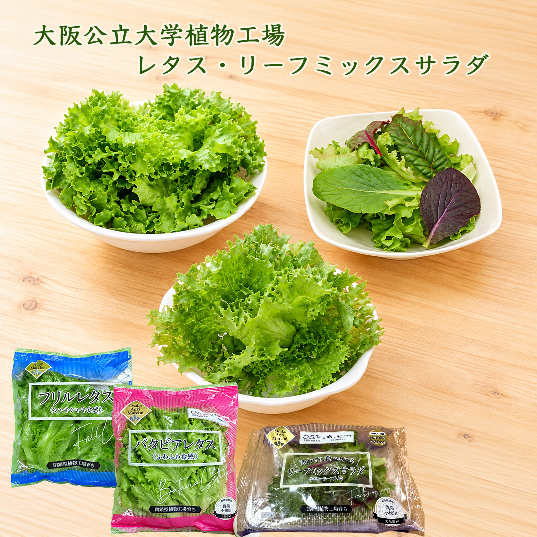 大阪公立大学植物工場 バタビアレタス3個/フリルレタス3個/リーフミックスサラダマイルド(ベビーリーフ入り)6個セット 栽培期間中農薬不使用 閉鎖型植物工場育ち 送料無料(北海道、沖縄1000円)