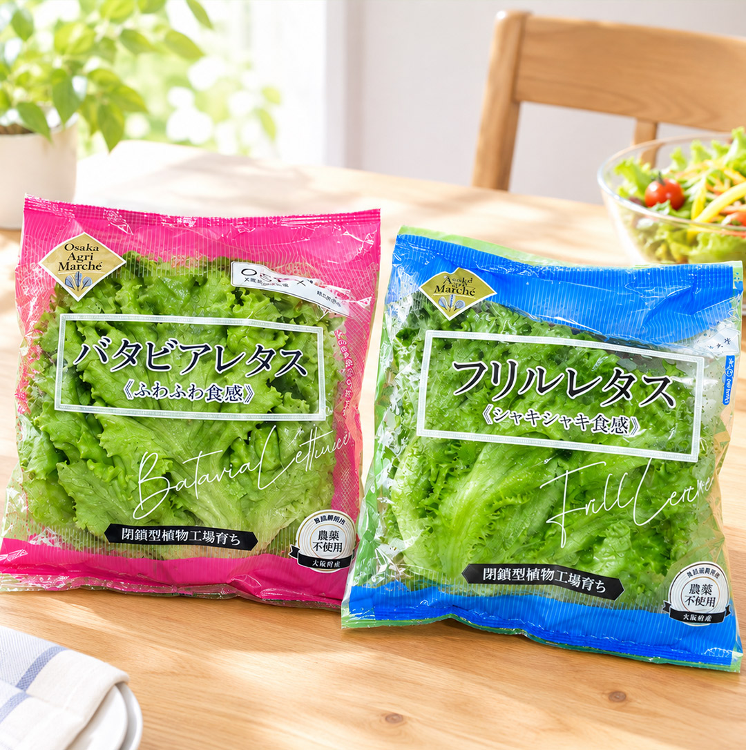大阪公立大学植物工場 バタビアレタス(約70g)6個 フリルレタス(約70g)6個 セット
