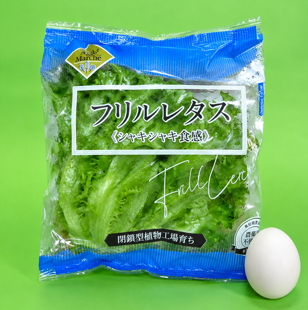 大阪公立大学植物工場 バタビアレタス(約70g)6個 フリルレタス(約70g)6個 セット