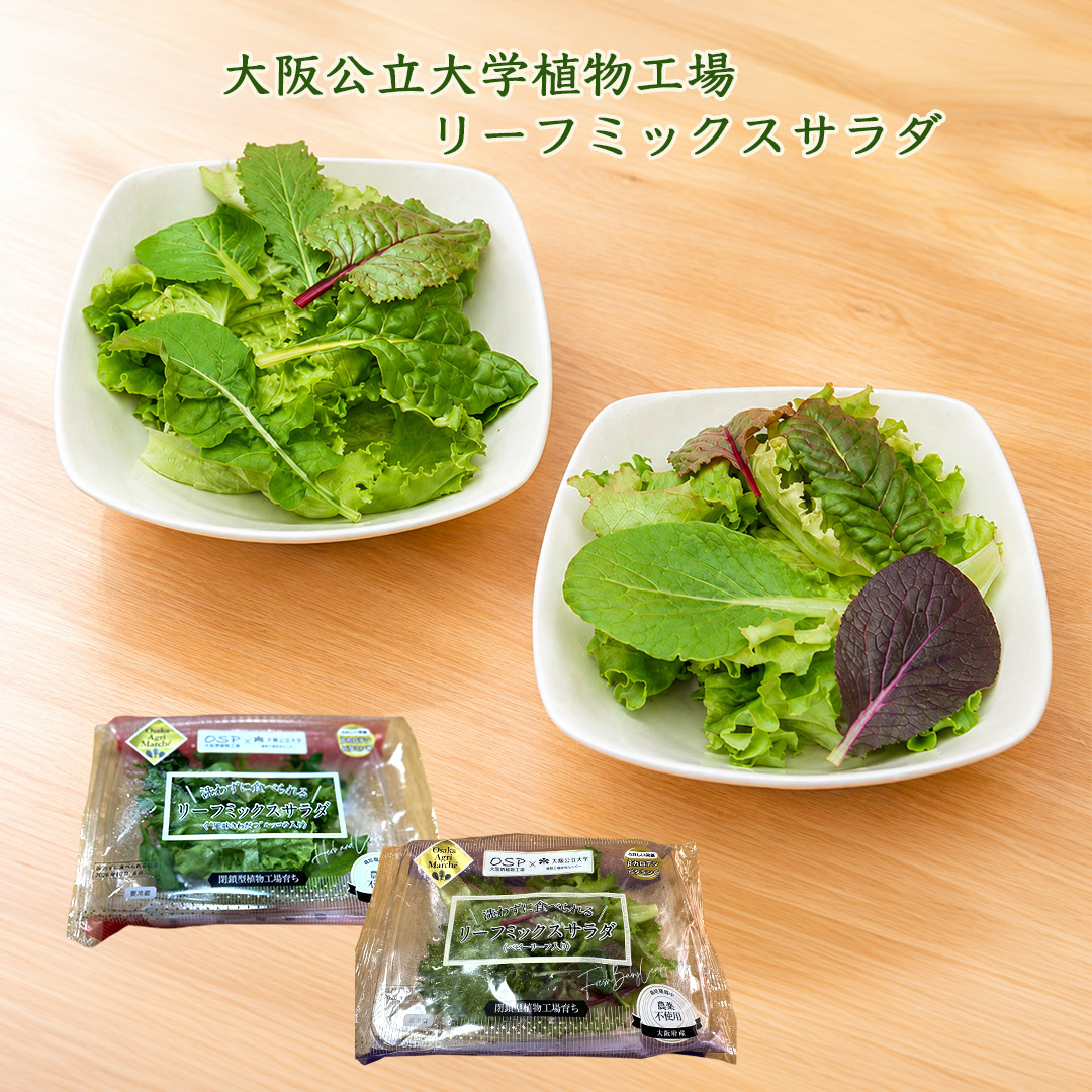 大阪公立大学植物工場 リーフミックスサラダマイルド(ベビーリーフ入り)6個/リーフミックスサラダスパイシー(風味きわだつルッコラ入り)6個入りセット 栽培期間中農薬不使用 閉鎖型植物工場育ち 送料無料(北海道、沖縄1000円)
