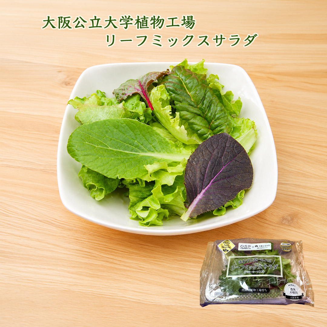 大阪公立大学植物工場 バタビアレタス3個/フリルレタス3個/リーフミックスサラダマイルド(ベビーリーフ入り)6個セット 栽培期間中農薬不使用 閉鎖型植物工場育ち 送料無料(北海道、沖縄1000円)