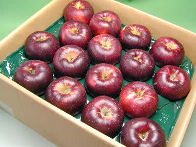 りんご　秋映え