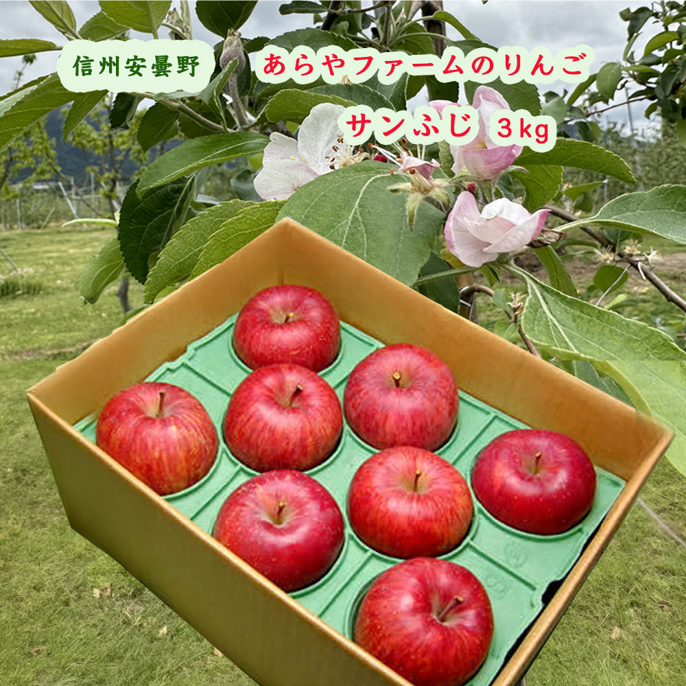 あらやファームのりんご　サンふじ