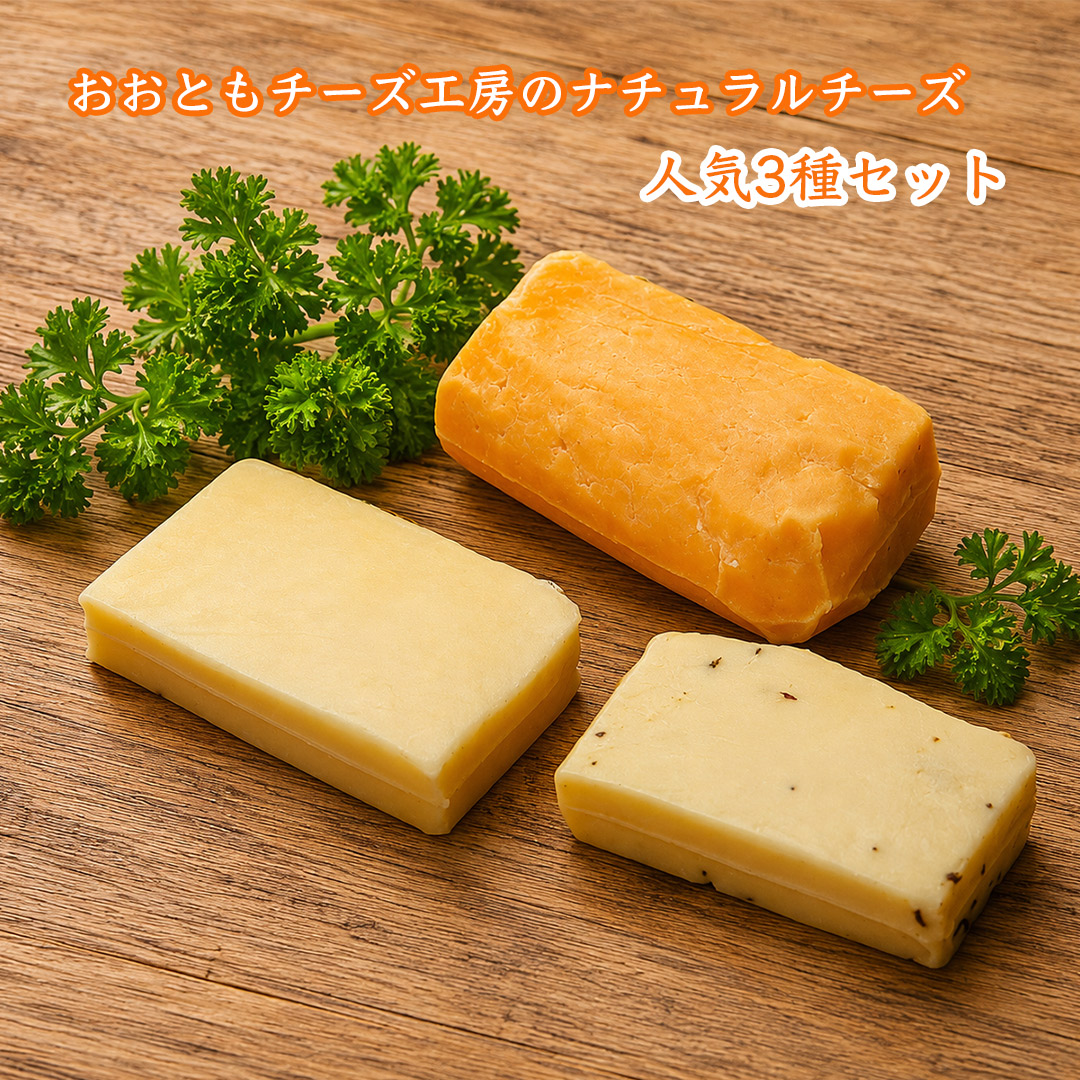 おおともチーズ工房３種セット