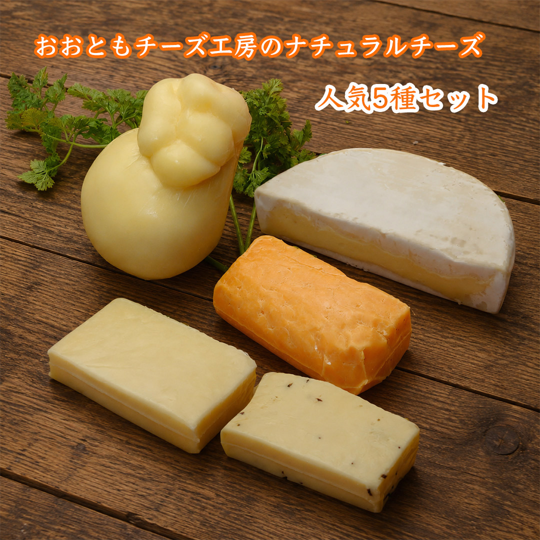 おおともチーズ工房のナチュラルチーズ人気5種セット(送料無料/沖縄は1500円) カマンベール、ミモレット、レクタン、キャラウェイ、カチョカバロの人気5種セット