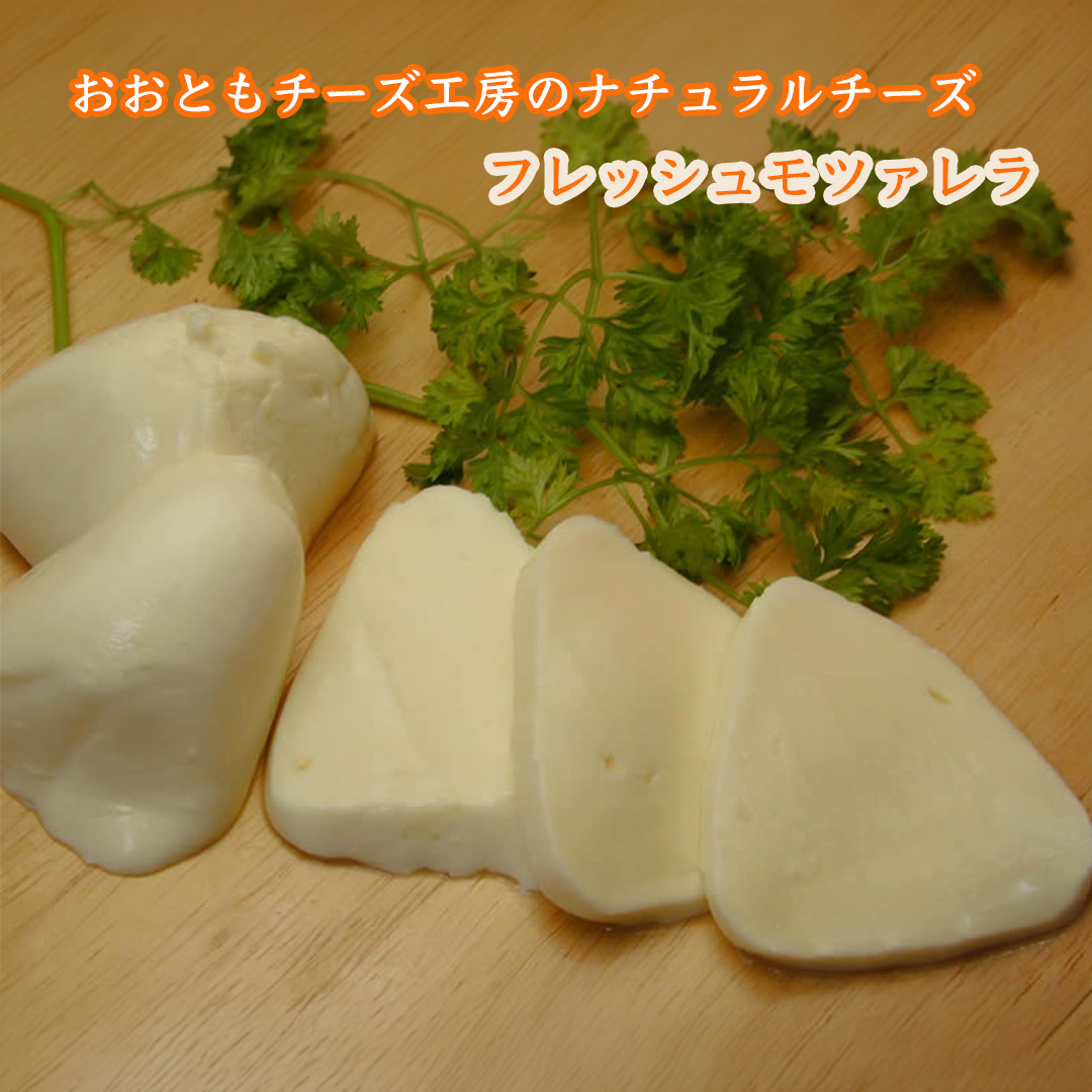 フレッシュモッツァレラ