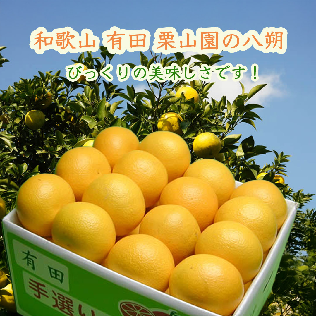 栗山園の八朔(はっさく)