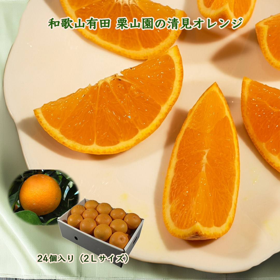 栗山園の清見オレンジ