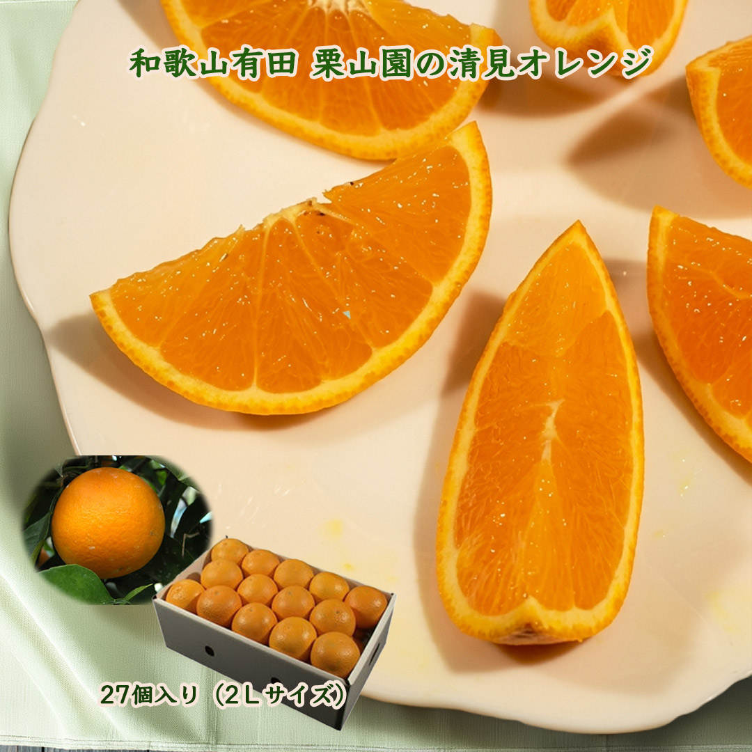 栗山園の清見オレンジ