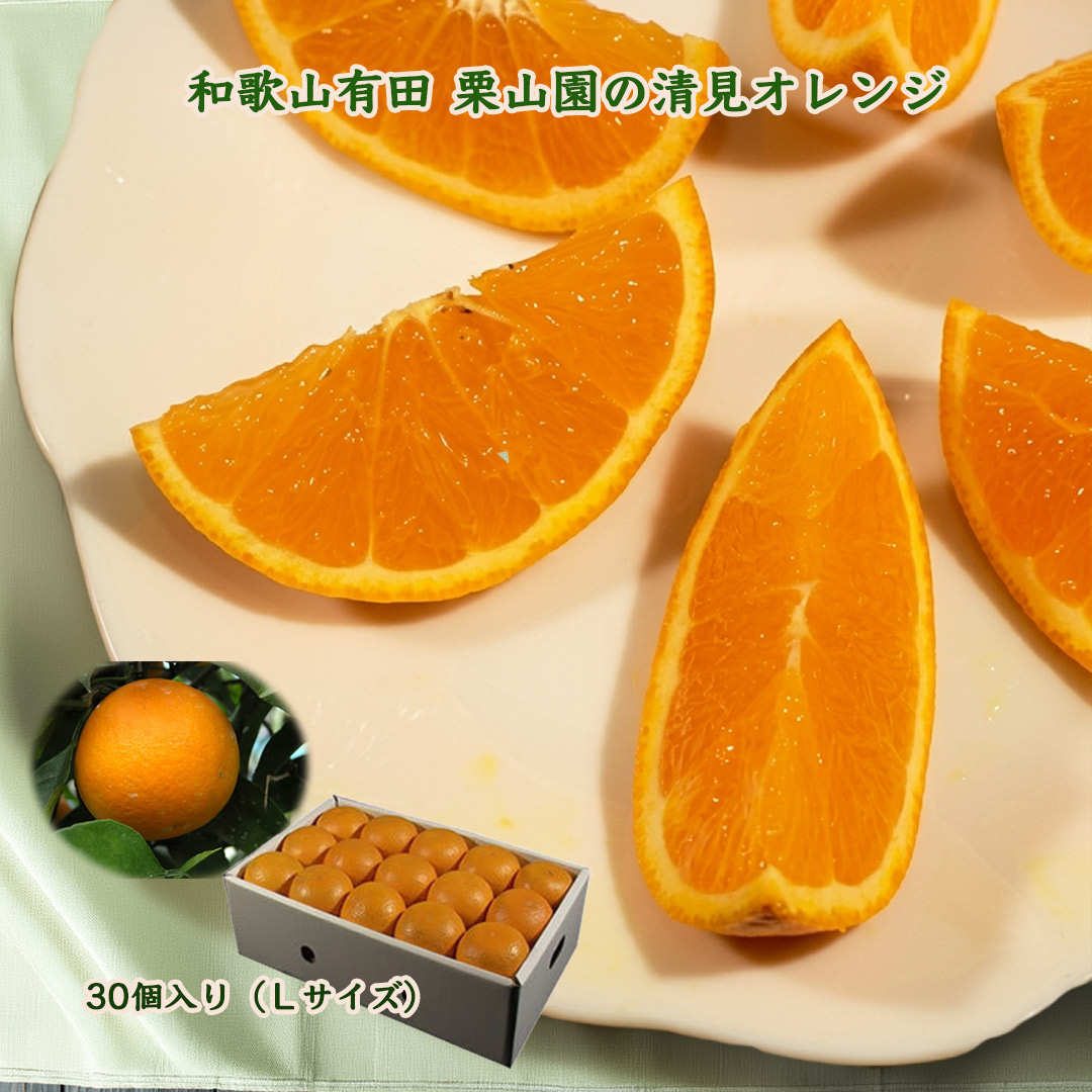 栗山園の清見オレンジ