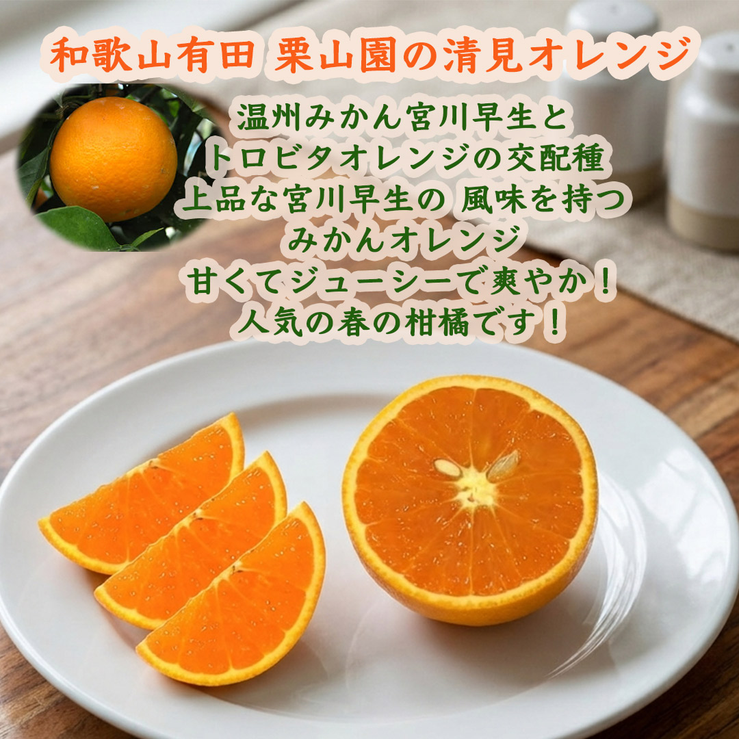 栗山園の清見オレンジ