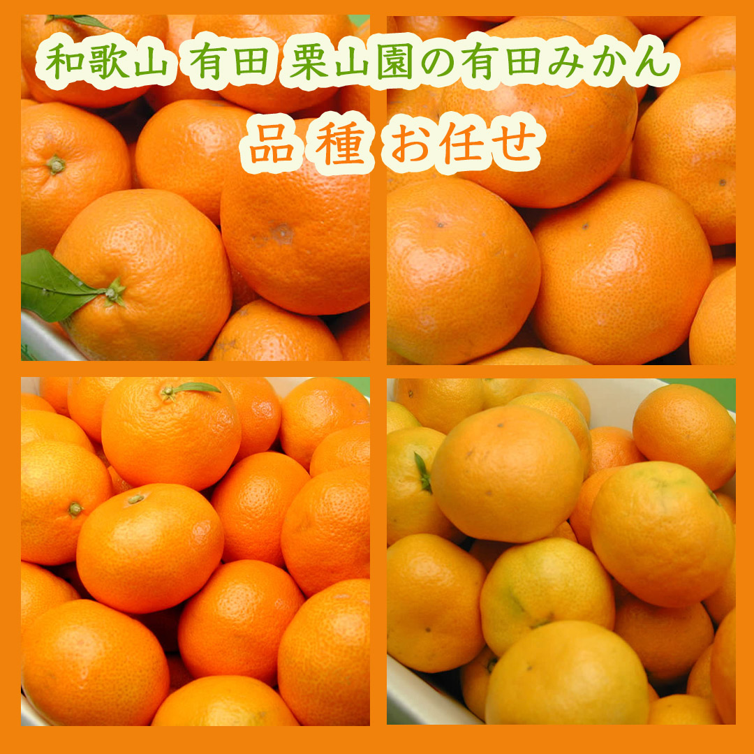 栗山園の有田みかん