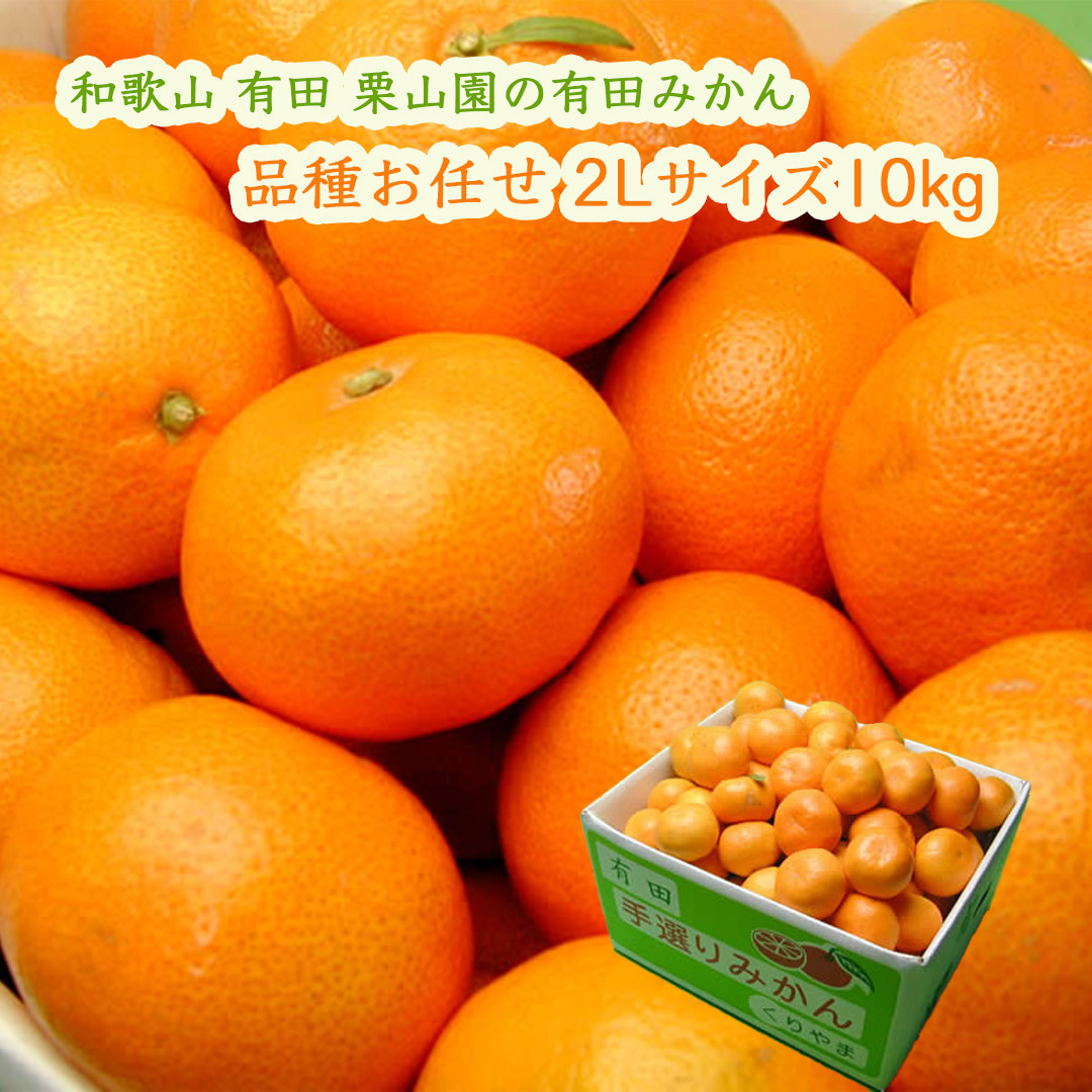 栗山園の有田みかん