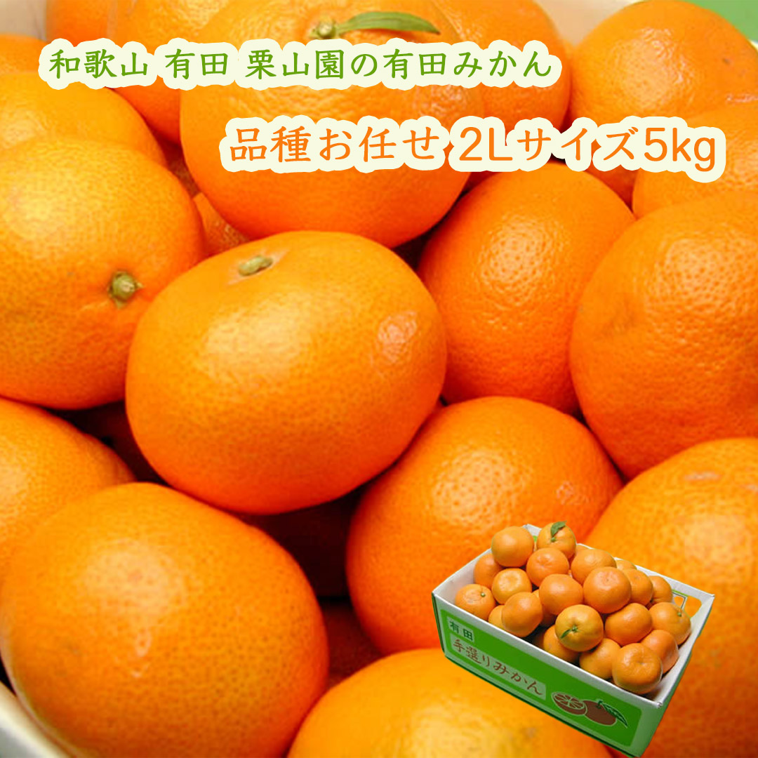 栗山園の有田みかん