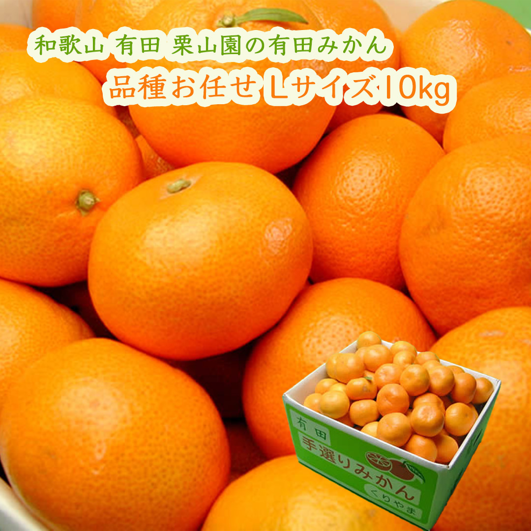 栗山園の有田みかん