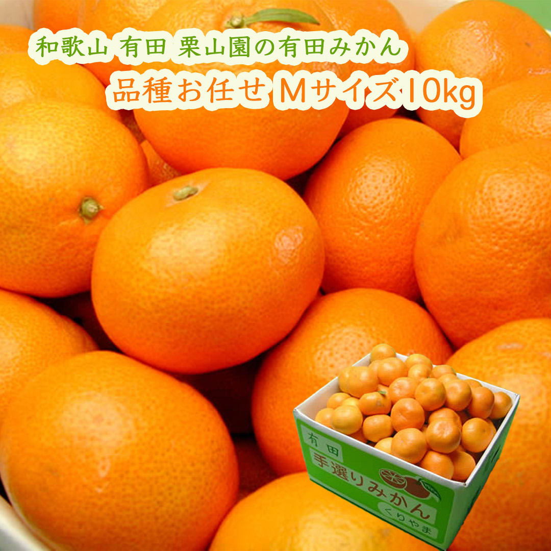 栗山園の有田みかん