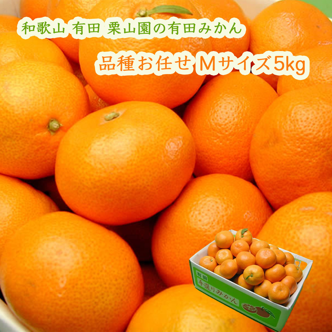 栗山園の有田みかん