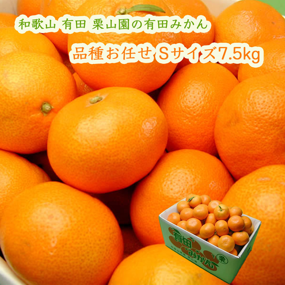 栗山園の有田みかん