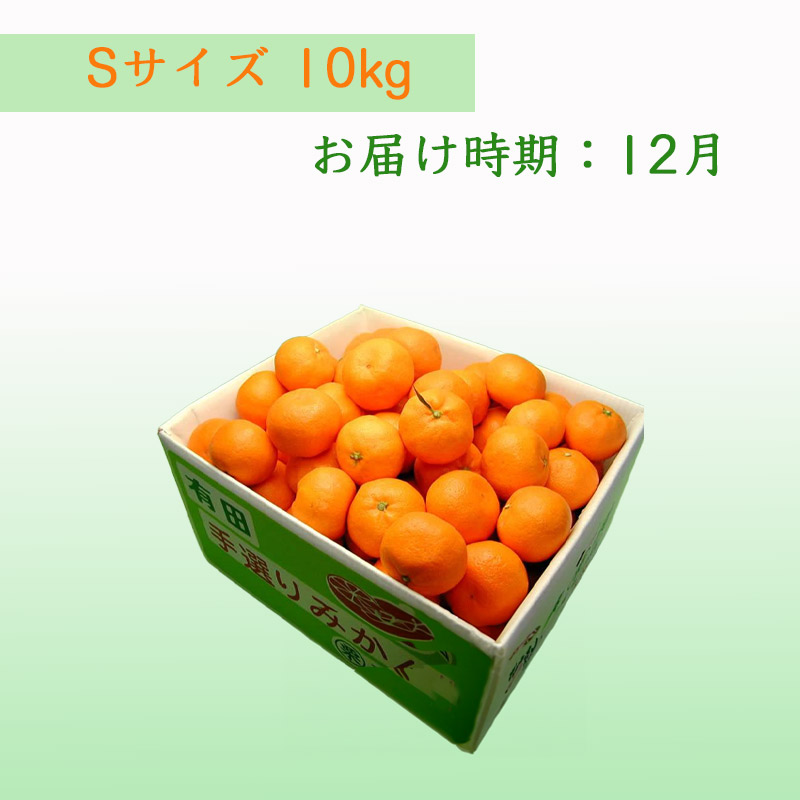 栗山園の有田みかん