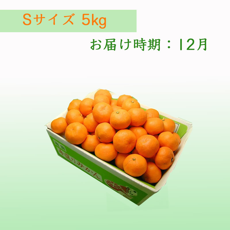 栗山園の有田みかん