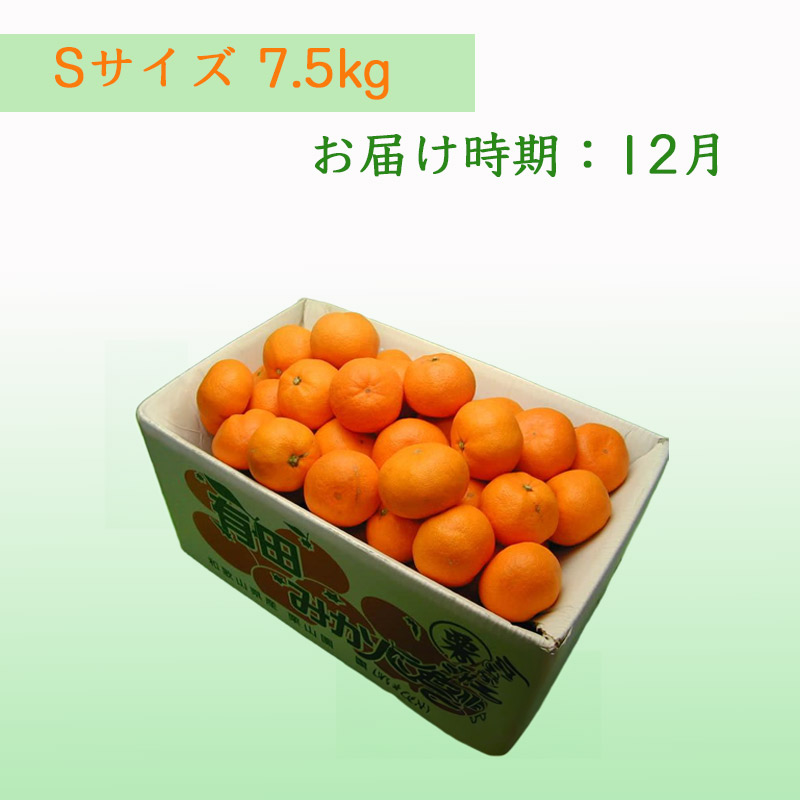 栗山園の有田みかん