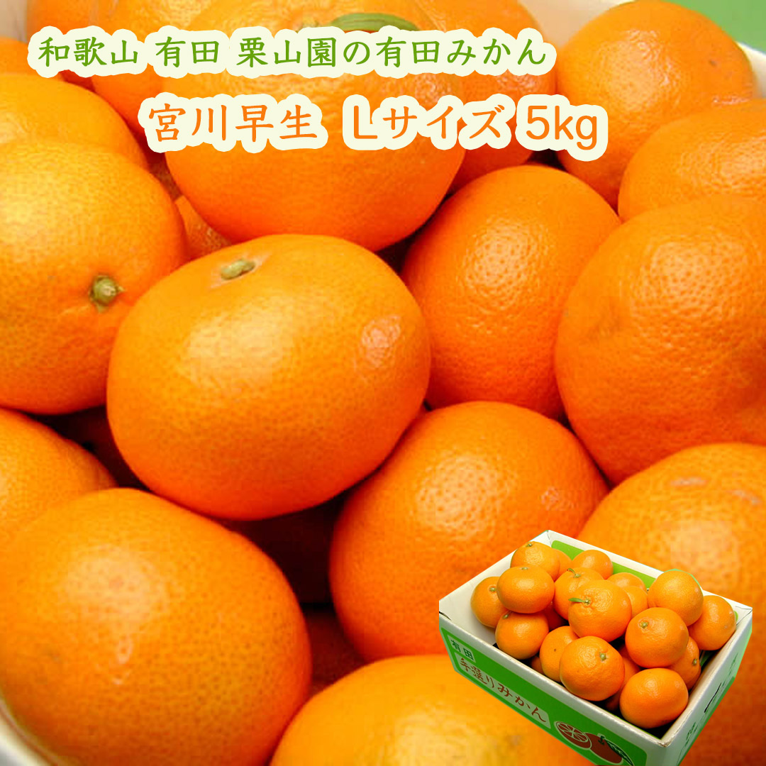 栗山園の有田みかん宮川早生