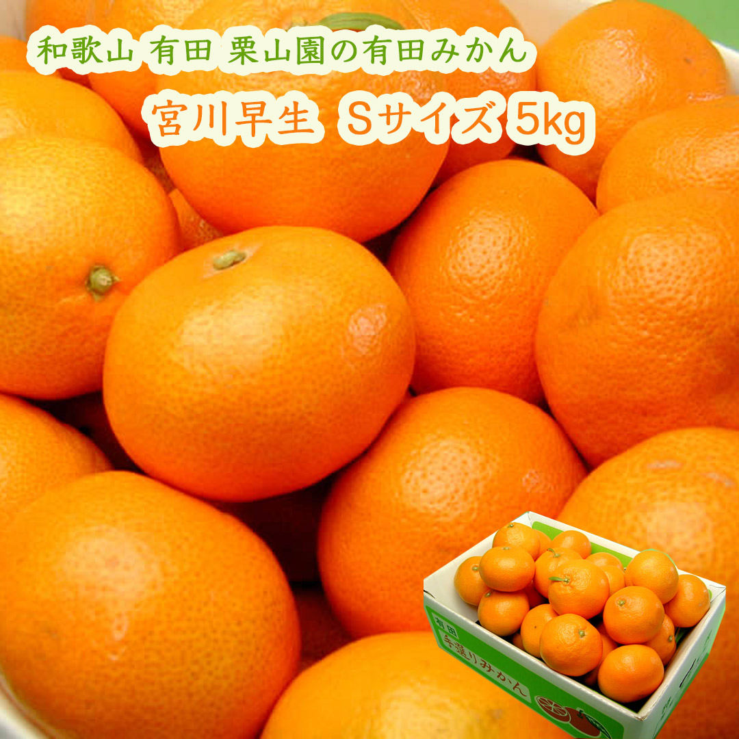 栗山園の有田みかん宮川早生