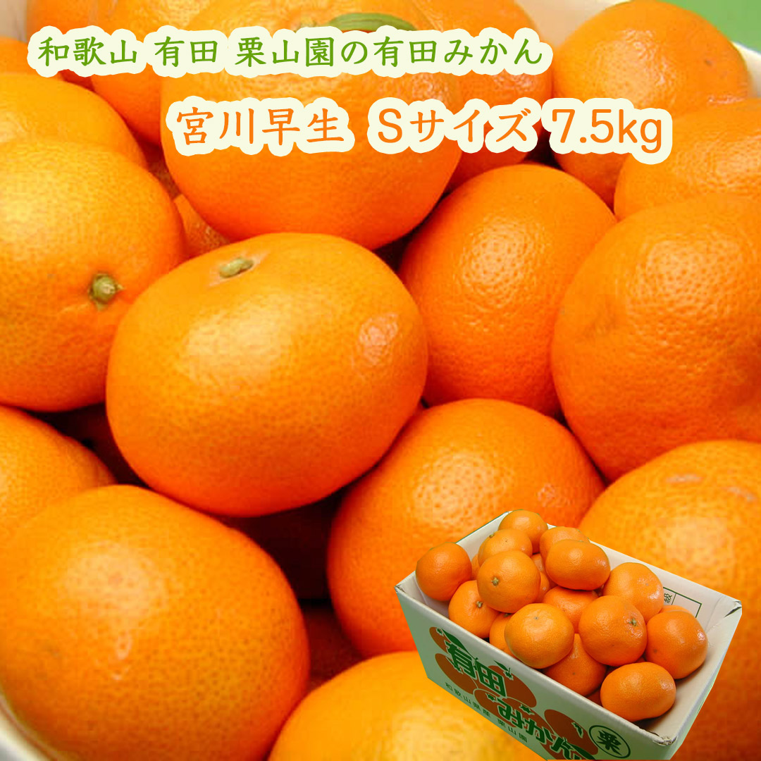 栗山園の有田みかん宮川早生