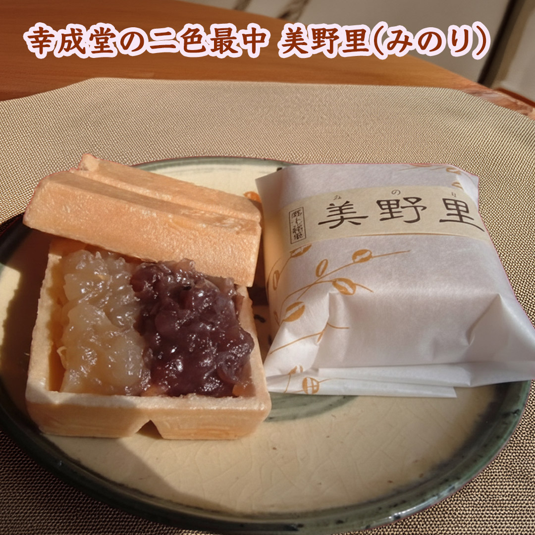 幸成堂 和菓子詰め合わせ  厳選７種セット (送料無料/北海道、沖縄1000円) 幸成堂自慢の人気商品  とら焼き 栗みかさ 新大阪パイ 二色最中美野里 きんつば スイートポテト 栗の幸 お試し ご贈答 お土産