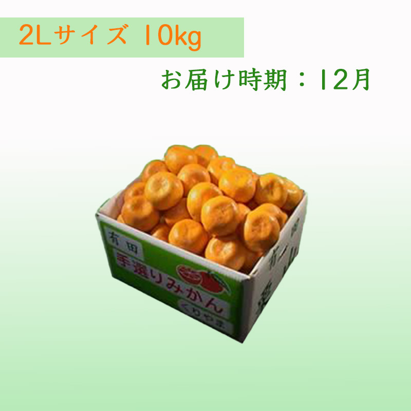 栗山園の有田みかん