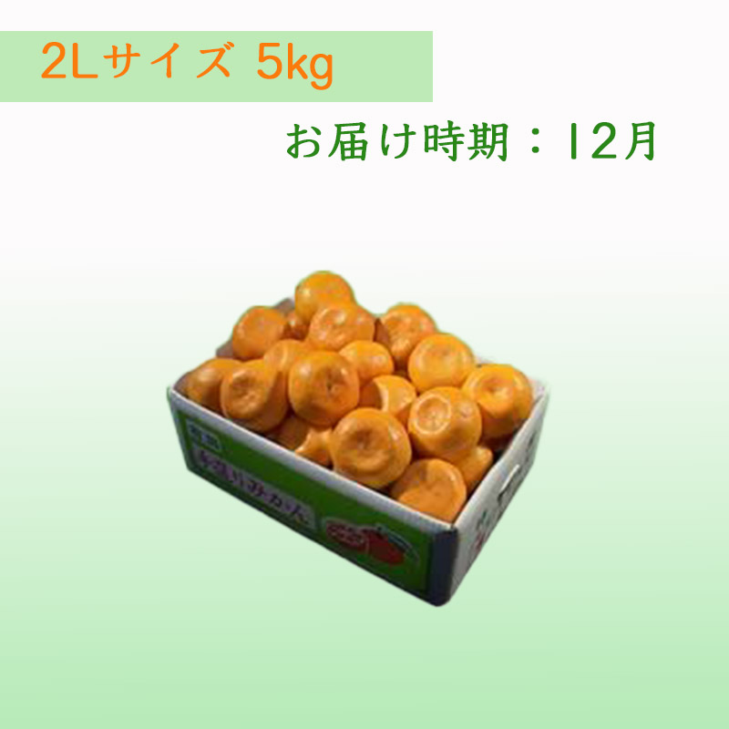 栗山園の有田みかん