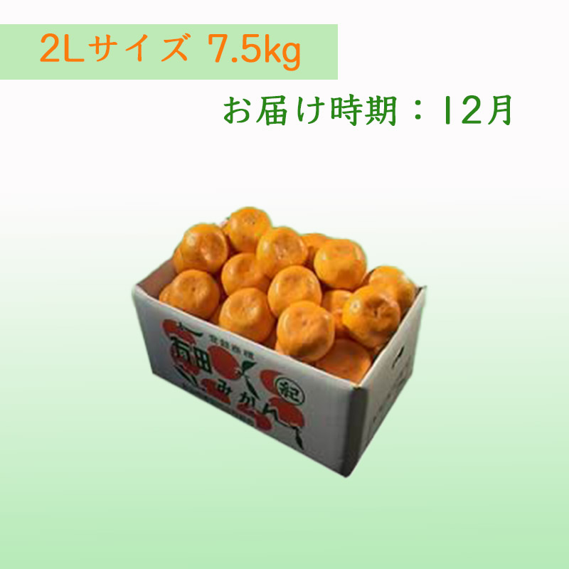 栗山園の有田みかん