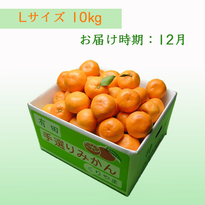 栗山園の有田みかん