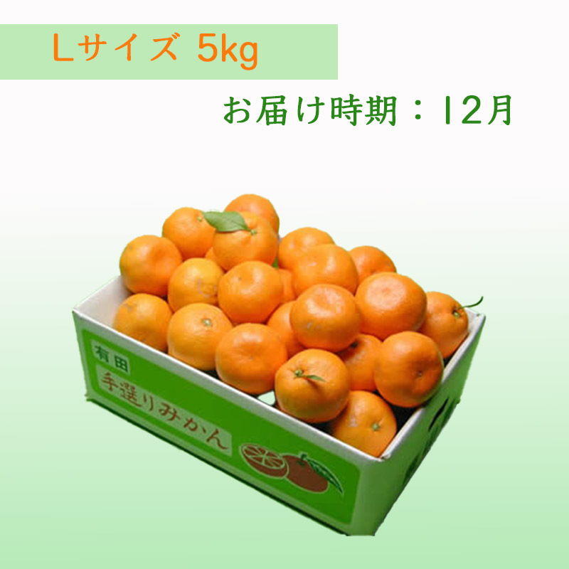 栗山園の有田みかん