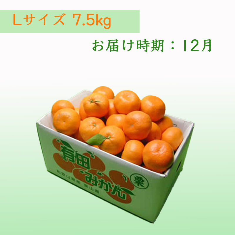 栗山園の有田みかん