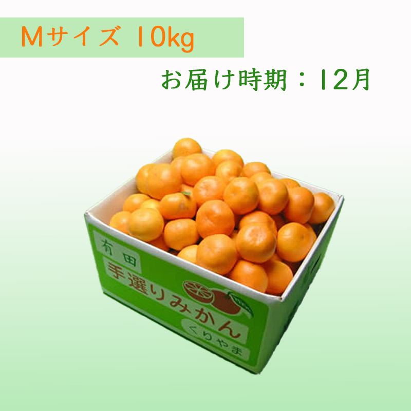 栗山園の有田みかん