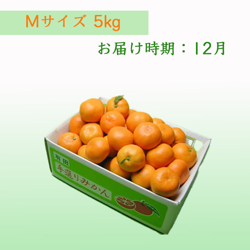 栗山園の有田みかん