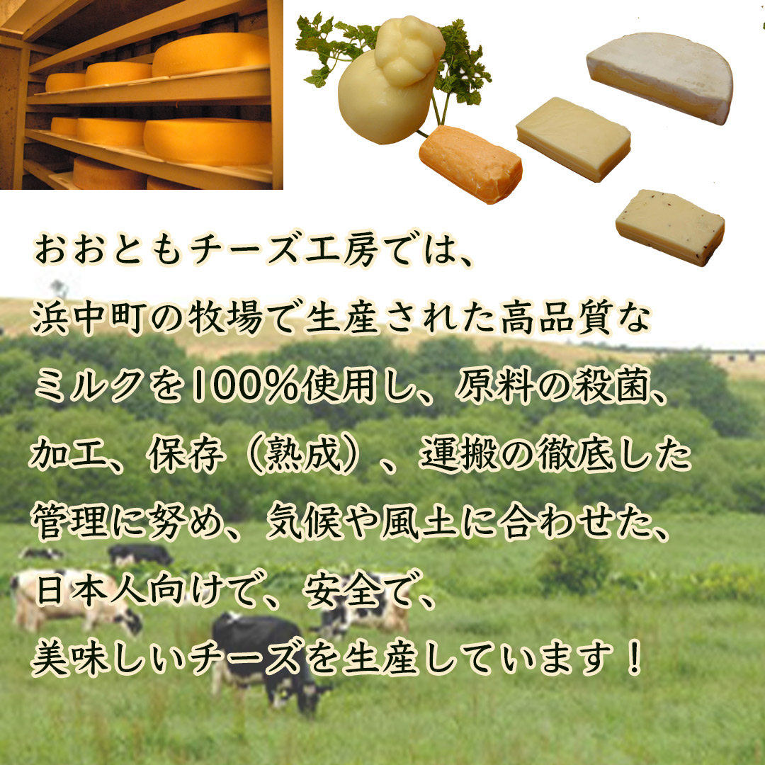 おおともチーズ工房のナチュラルチーズ人気3種セット (送料無料/沖縄は1500円)  ミモレット、レクタン、キャラウェイ 