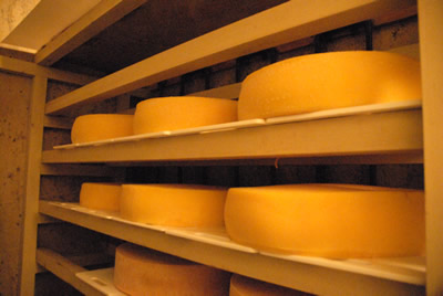 おおともチーズ工房　チーズ貯蔵庫