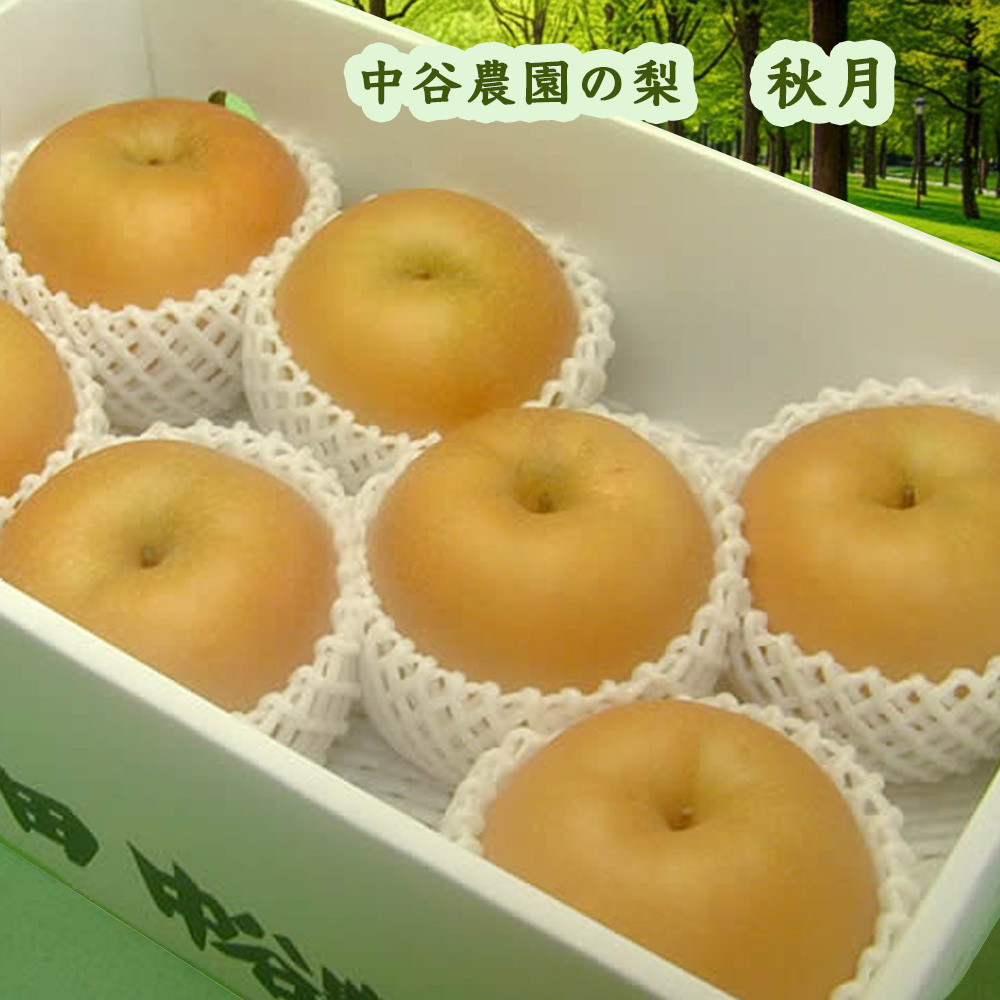 (16玉サイズあきづき梨)約10kg★送料込★秋田県産 あきづき梨 mygift-shop_32-012-nashi