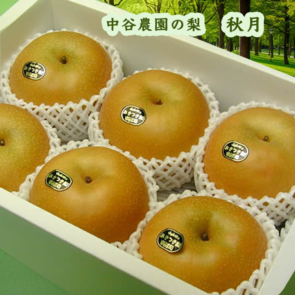 小山田 中谷農園の梨 秋月(あきづき) 中箱(大玉5~6個入り) 送料無料