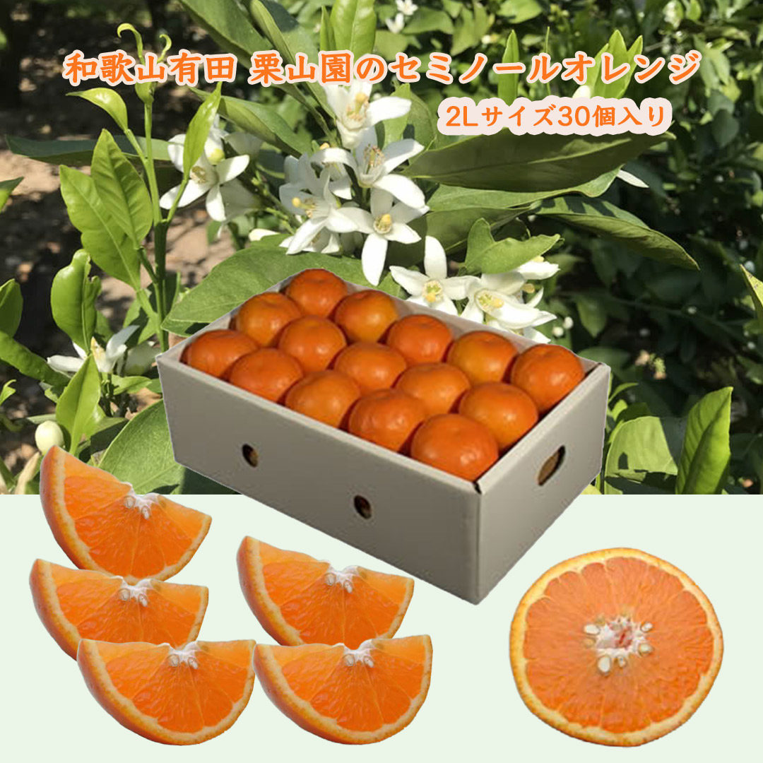 セミノールオレンジ