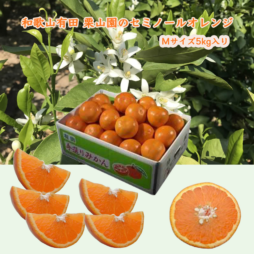 セミノールオレンジ