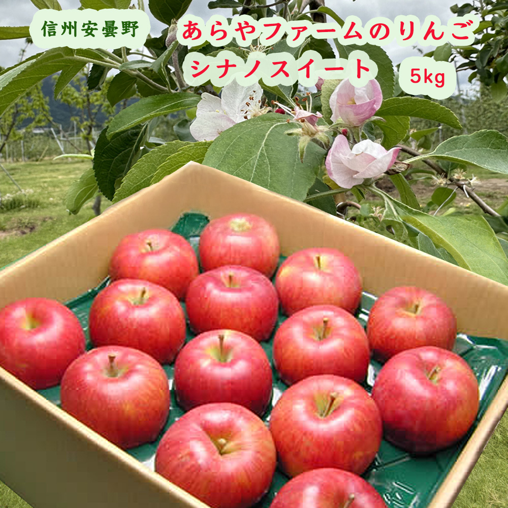 りんご　シナノスイート