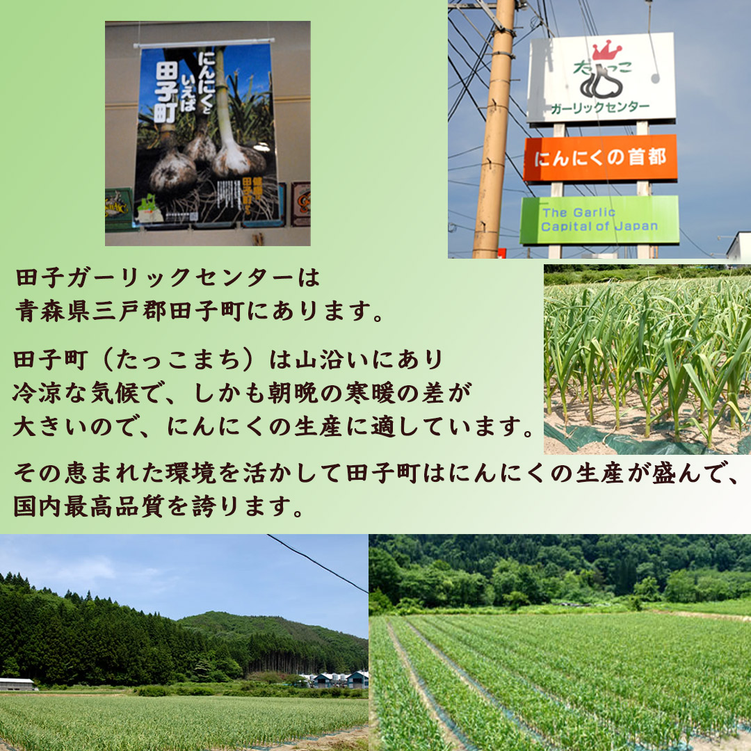 たっこ にんにくラーメン6食入り 青森田子産にんにく 田子町ガーリックセンター直送 味噌 醤油