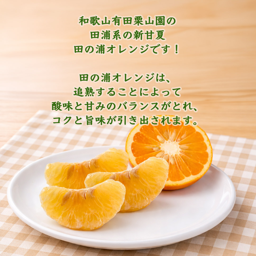 栗山園の田の浦オレンジ