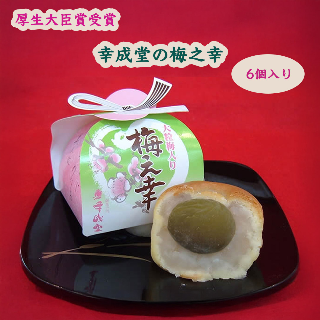 幸成堂の梅の幸